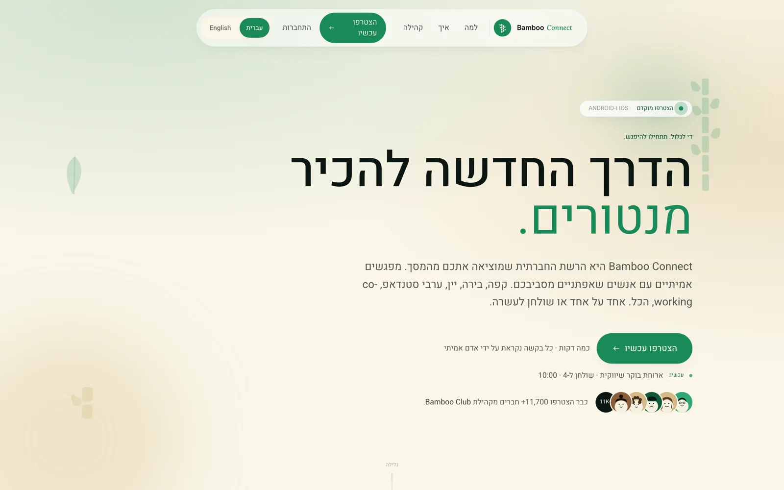 Bambooil, Home page